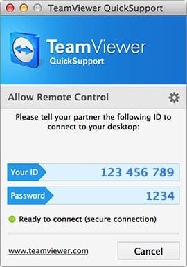 easy access teamviewer