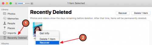 recover deleted files from sd card free online