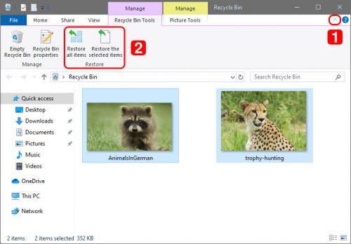 5 Ways To Recover Deleted Photos On Any Device (2023)