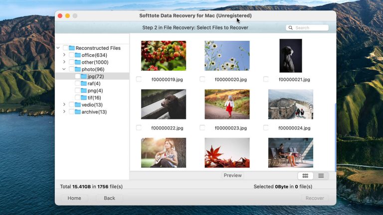 softtote mac data recovery