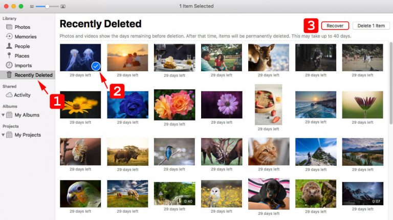 how to recover permanently deleted photos on mac