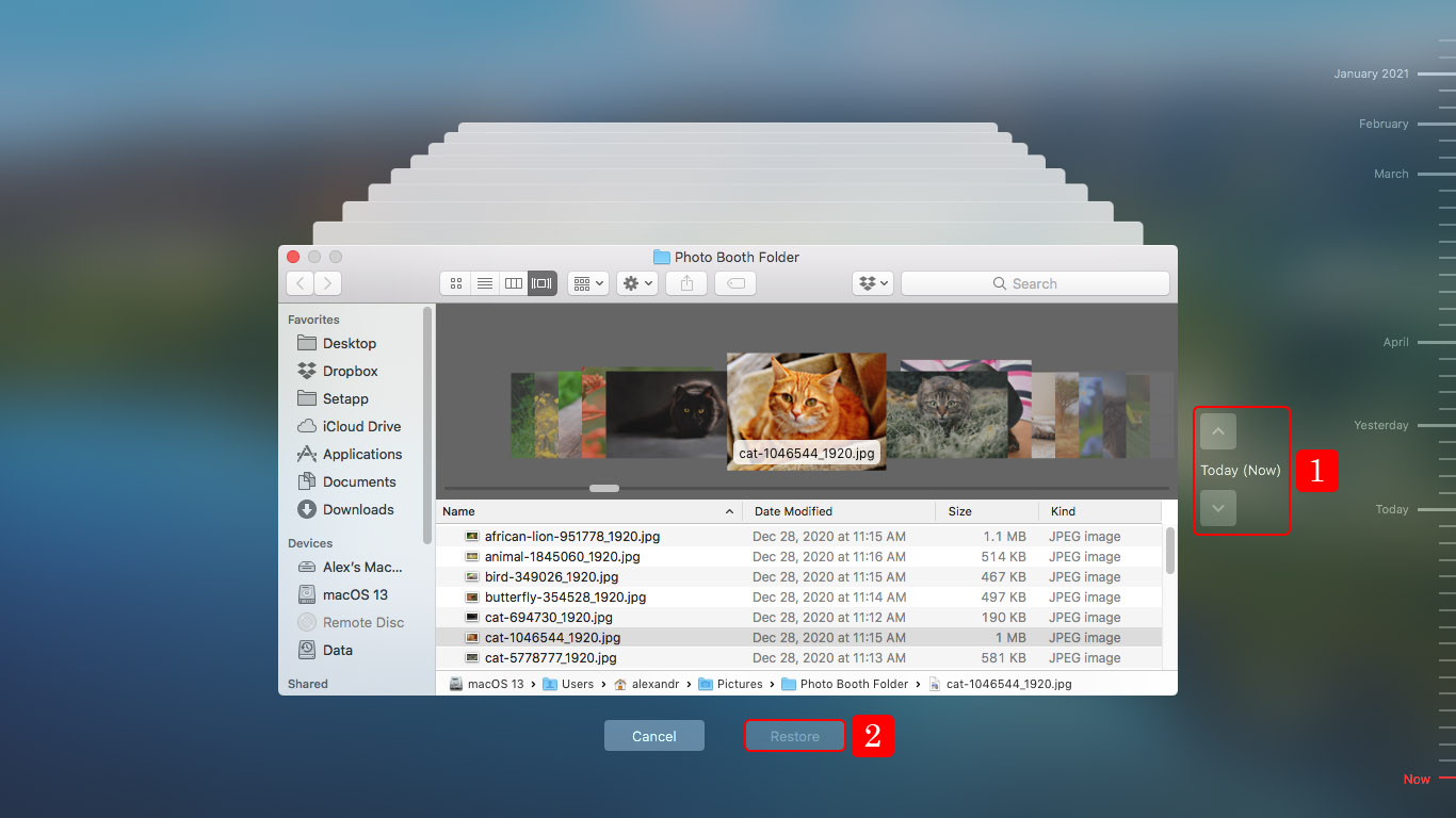 program like photo booth for windows