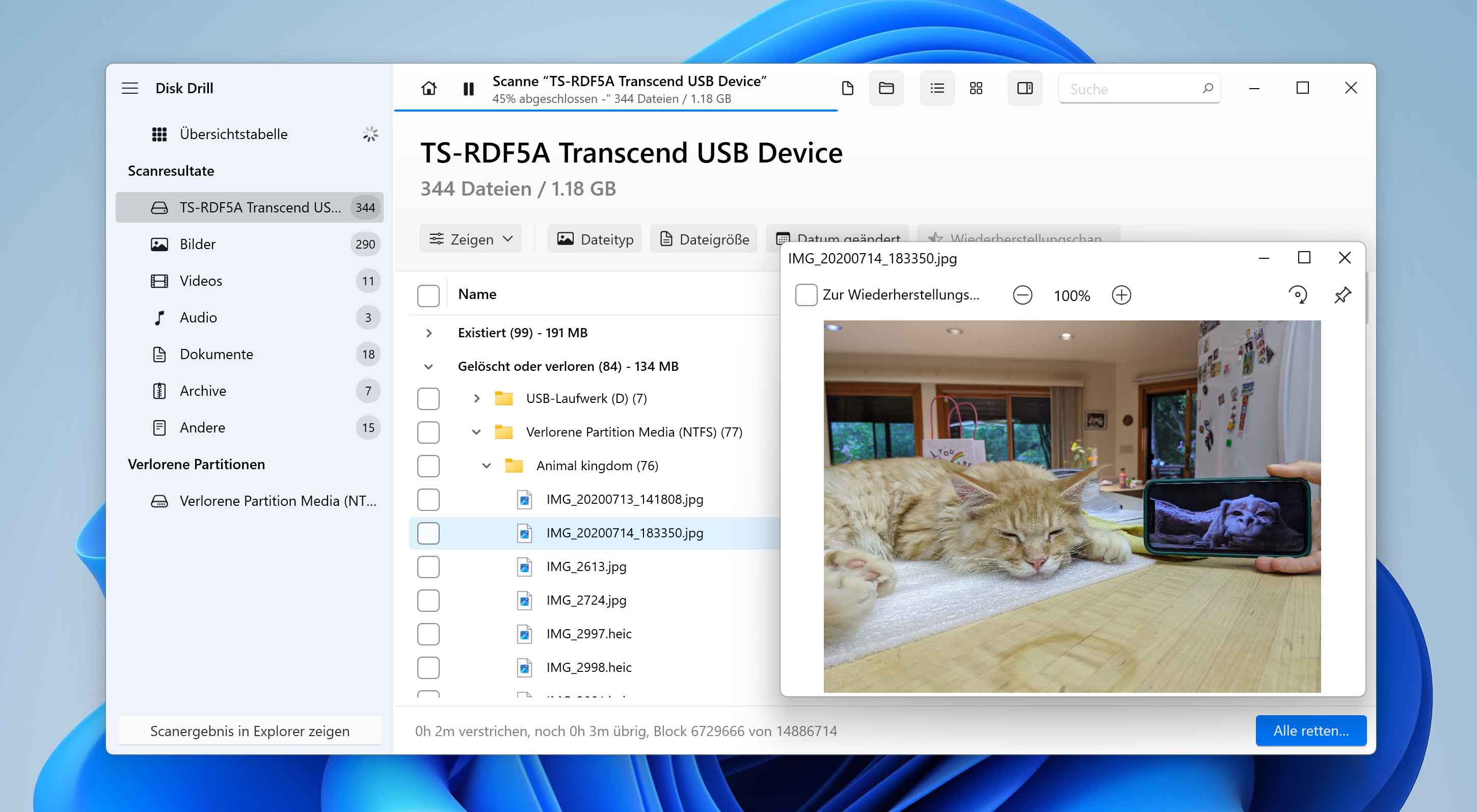 Vorschau gelöschter Fotos in Disk Drill