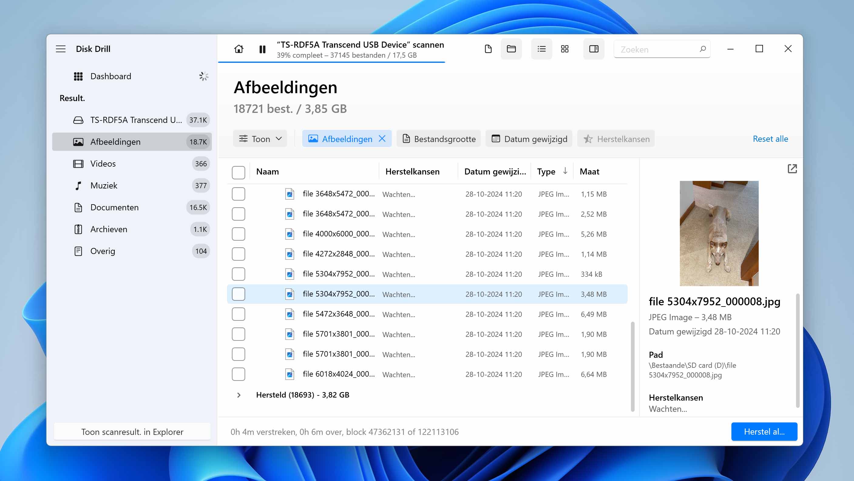 Disk Drill voor Windows herstelt bestanden van een geformatteerde geheugenkaart