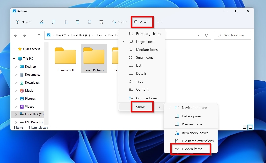 Windows Explorer View Show Hidden Items