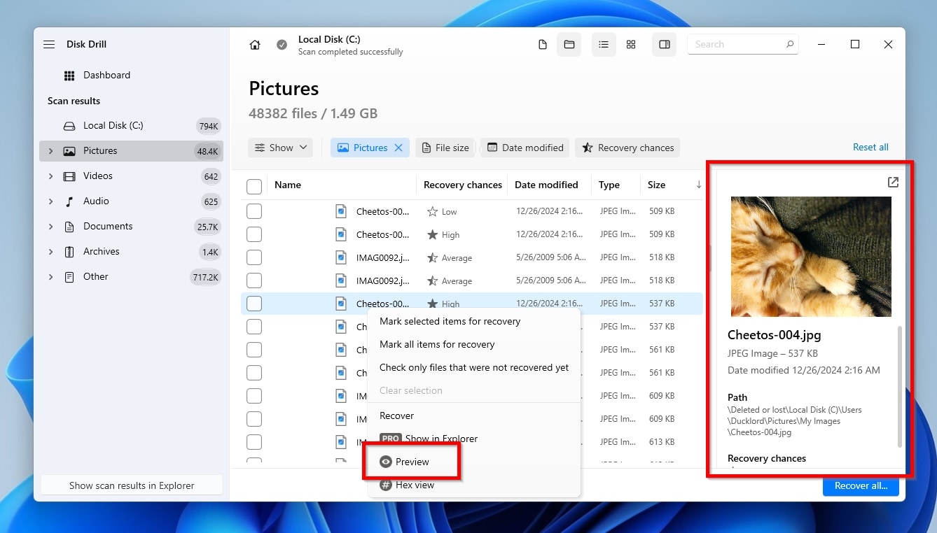 Disk Drill Preview File