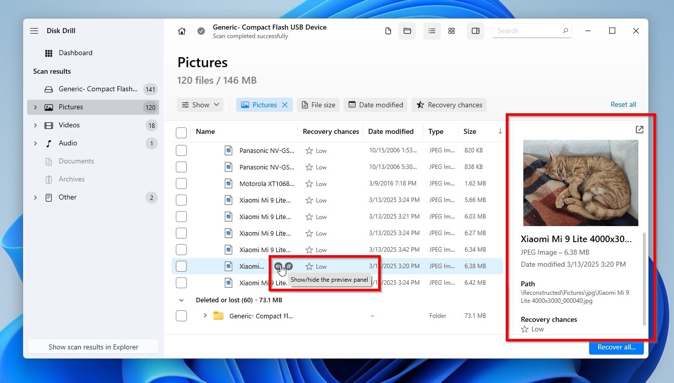 Disk Drill Results List Previews