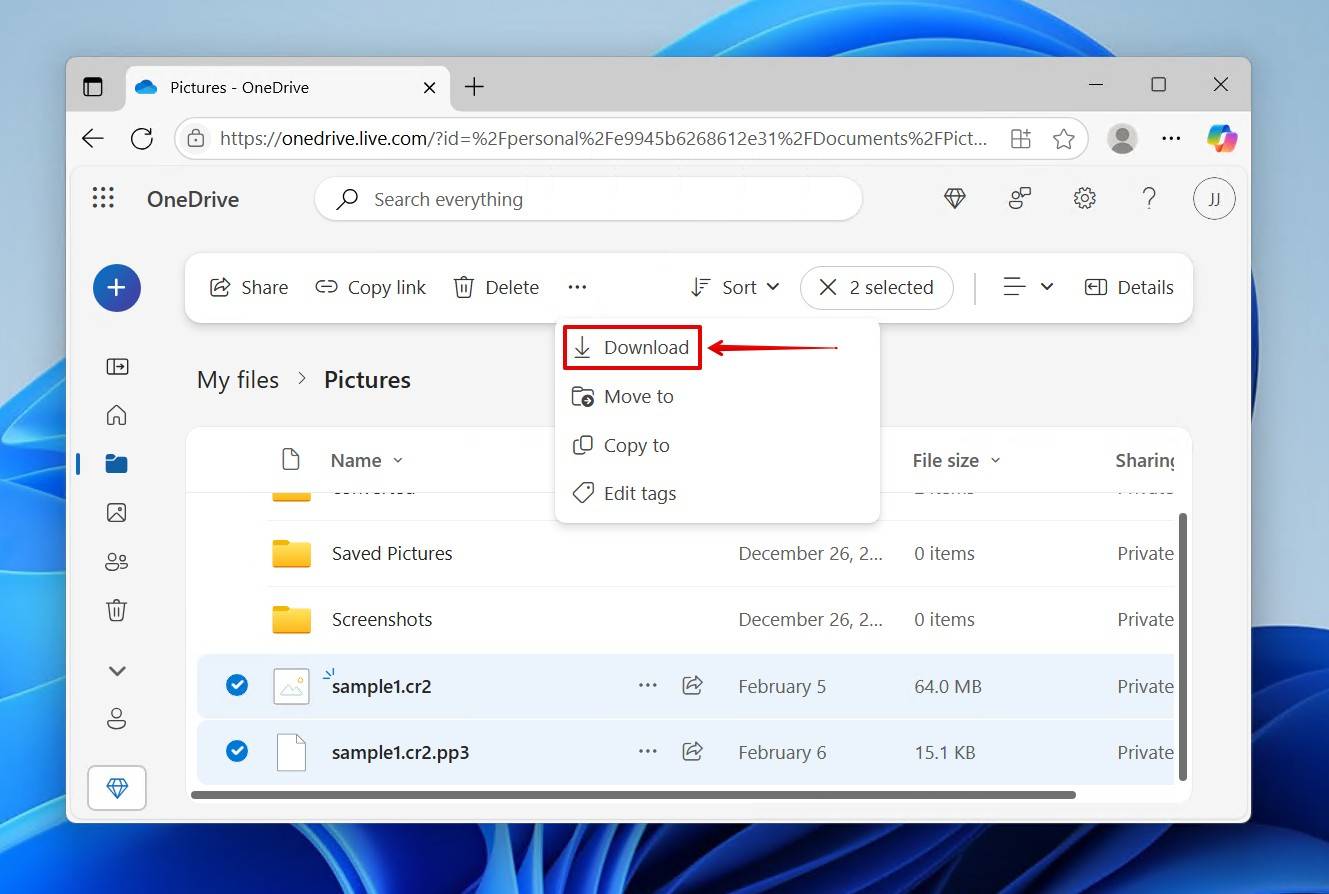 Downloading the OneDrive files.
