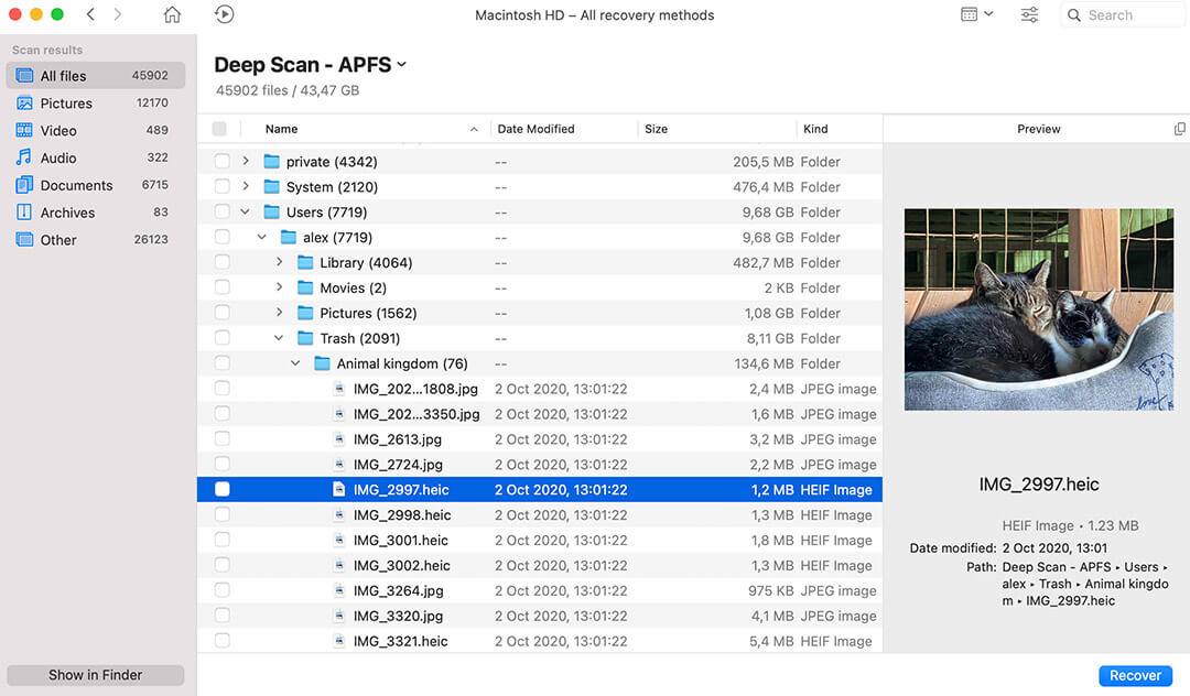 mac find files by date