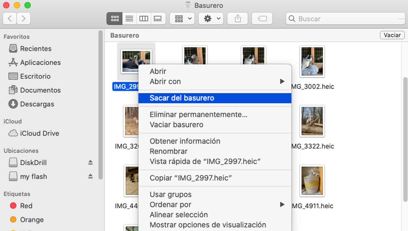 Como Recuperar Archivos Borrados En Mac Con Disk Drill